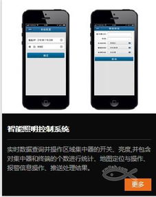 专业厦门APP开发定制与软件外包服务，助力企业数字化转型